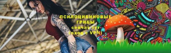 наркотики Белокуриха