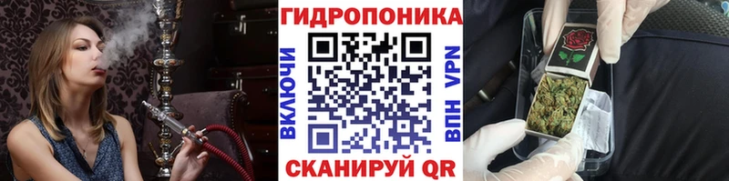 Купить где  Жигулёвск  Бошки Шишки гибрид 