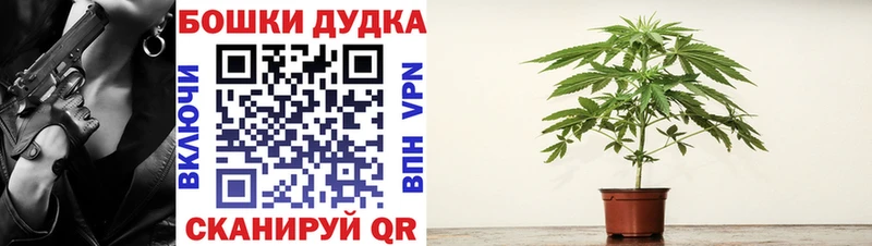 Канабис ГИДРОПОН Жигулёвск